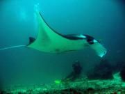 small_53IMG_0827.jpg