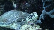 small_67IMG_0751.JPG